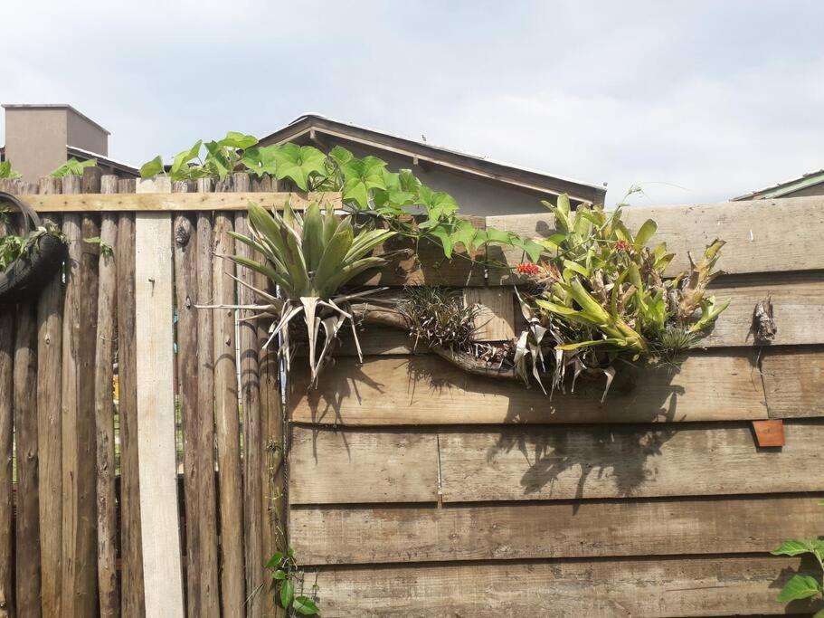 Casa Proximo A Praias, Trilhas E Cachoeiras. 加罗帕巴 外观 照片