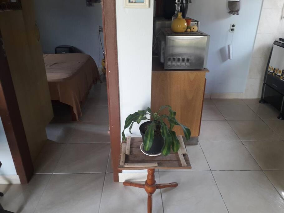 Casa Proximo A Praias, Trilhas E Cachoeiras. 加罗帕巴 外观 照片
