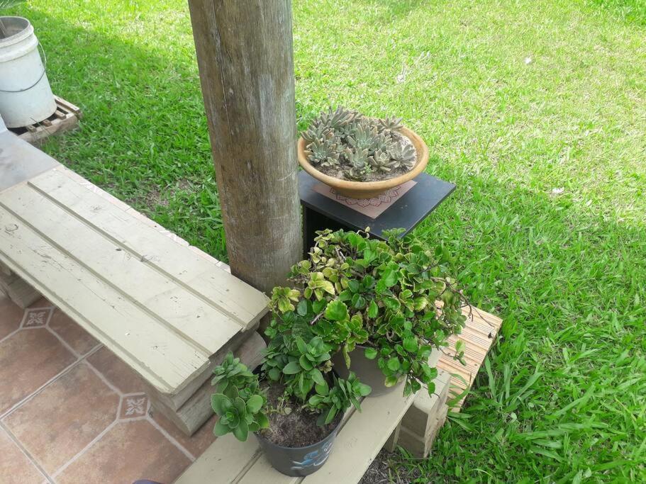 Casa Proximo A Praias, Trilhas E Cachoeiras. 加罗帕巴 外观 照片