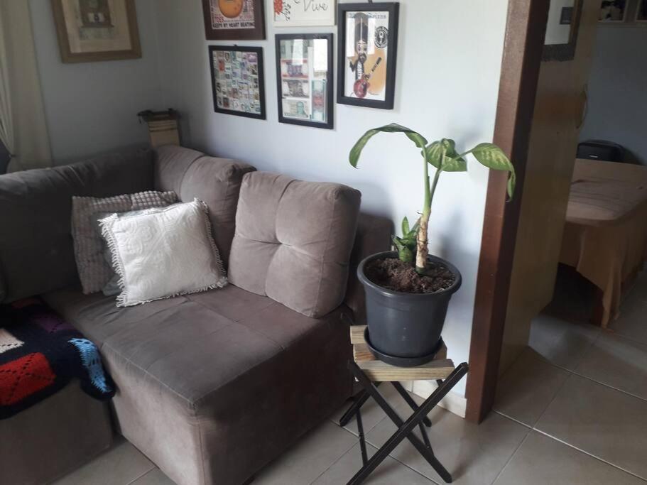 Casa Proximo A Praias, Trilhas E Cachoeiras. 加罗帕巴 外观 照片